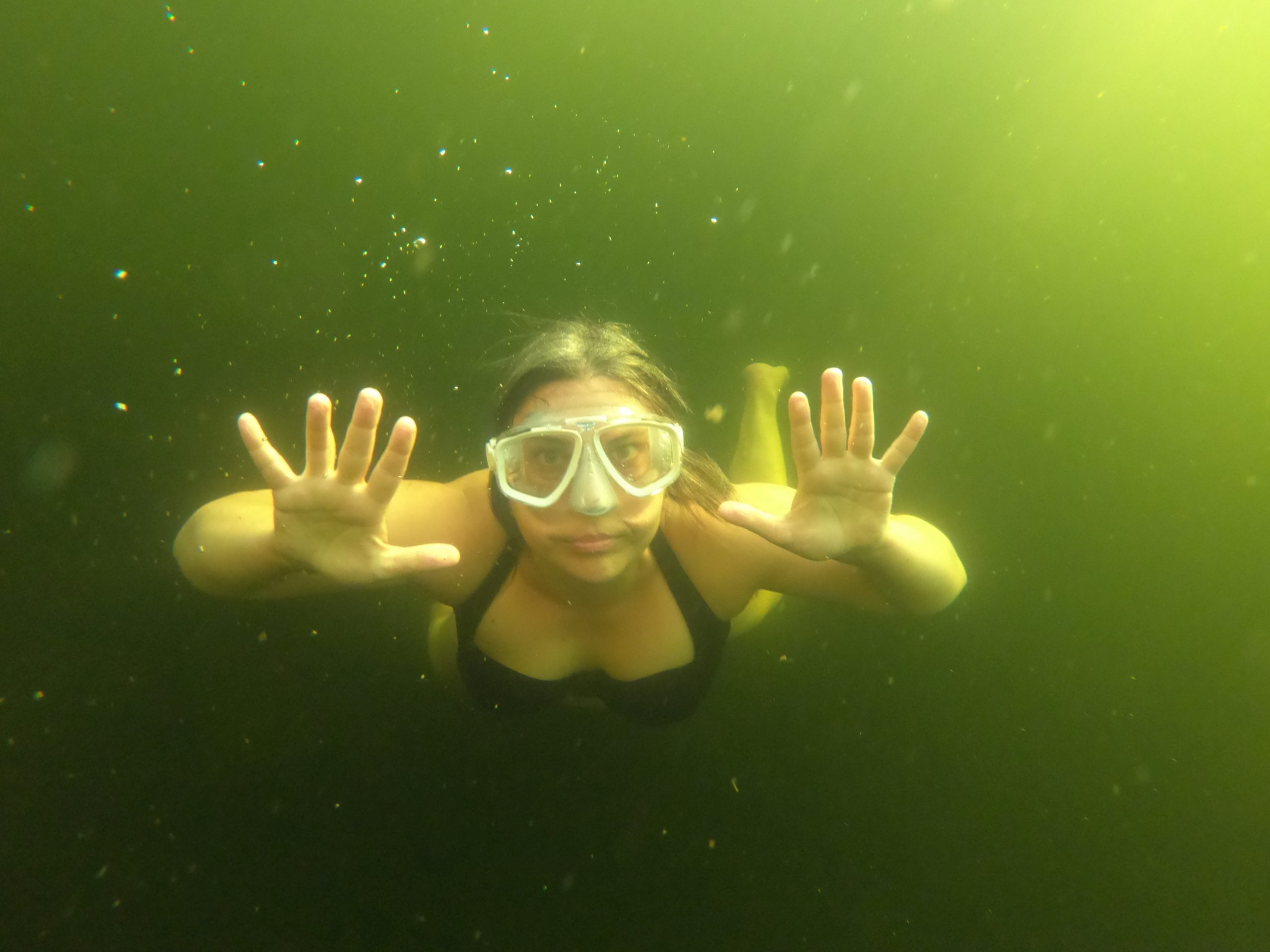 an image of Anna Swanson swimming in green/yellow water, in a black bathing suit and white goggles that cover the nose, looking up to look so as to be face-on to the camera, with both hands spread, and her legs and body floating behind.